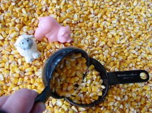 photo from Alternative Heat (http://www.flickr.com/photos/alternative_heat/) via http://creativecommons.org/licenses/by/2.0/